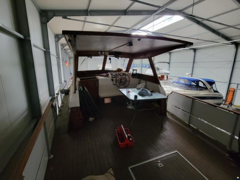 Cytra Ambassador 38