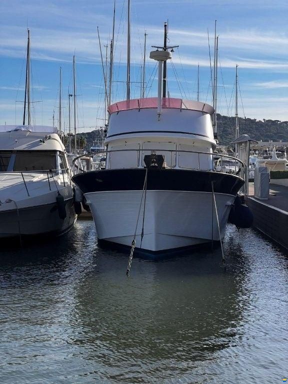 Trader Tarquin 44'