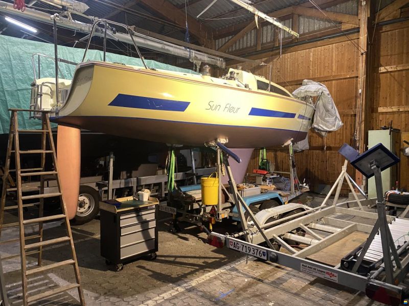 Archambault Surprise