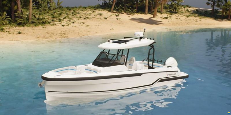 Wellcraft 28 T-TOP