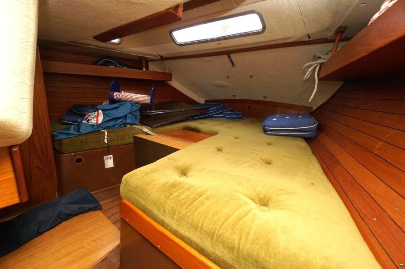 Sirena 38