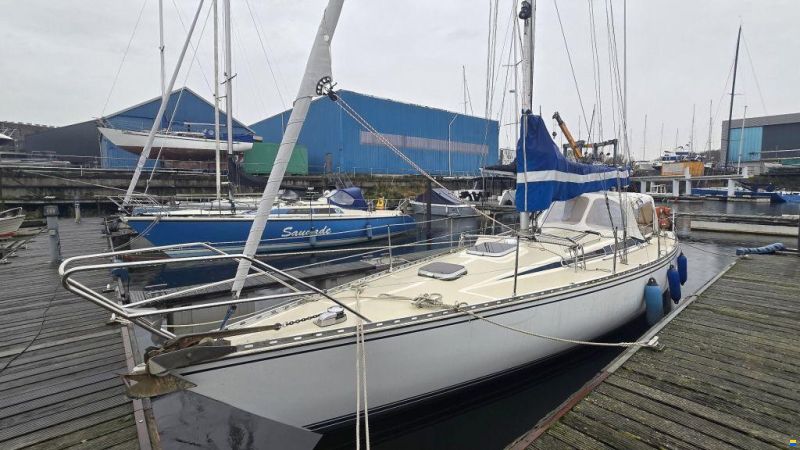 Sirena 38