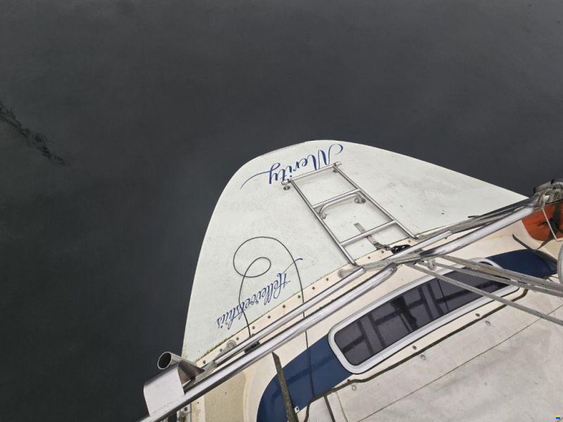 Sirena 38