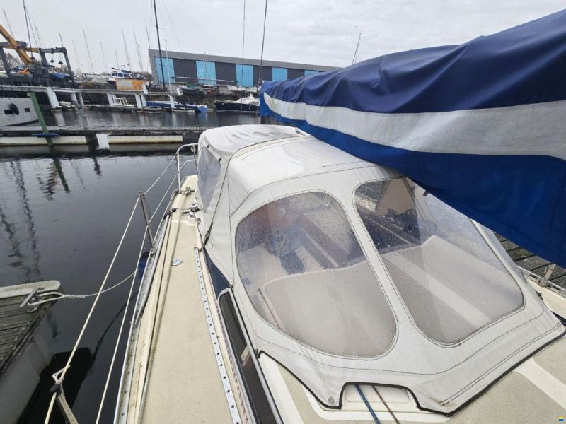 Sirena 38