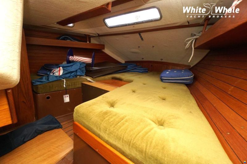 Sirena 38