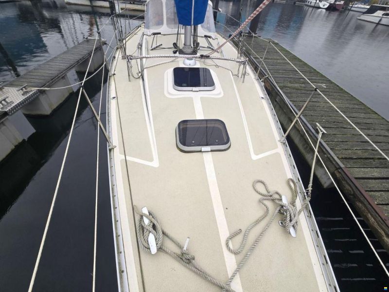 Sirena 38