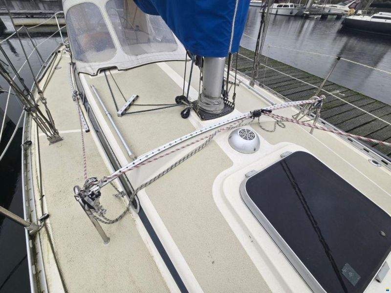 Sirena 38