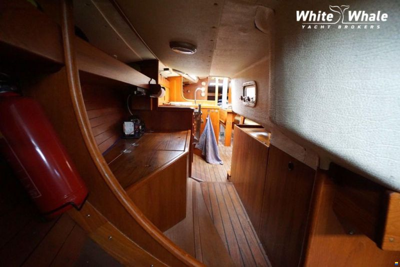 Sirena 38