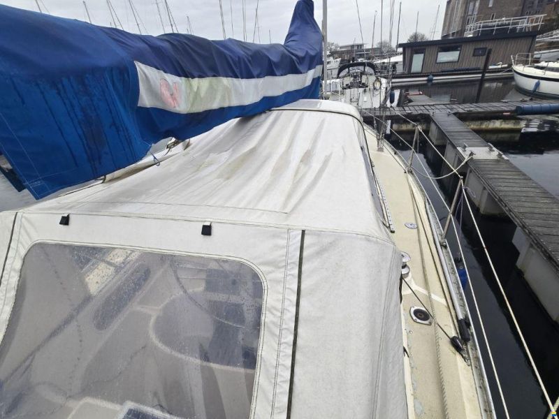 Sirena 38