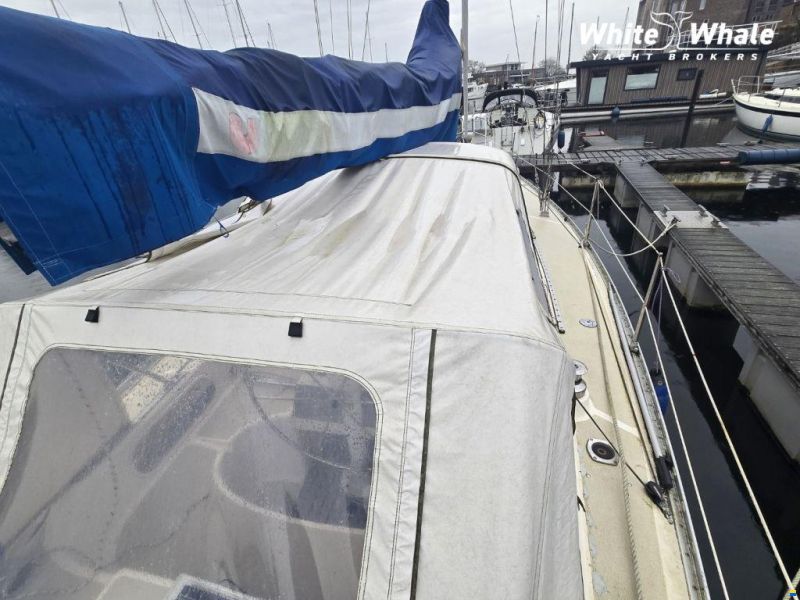 Sirena 38