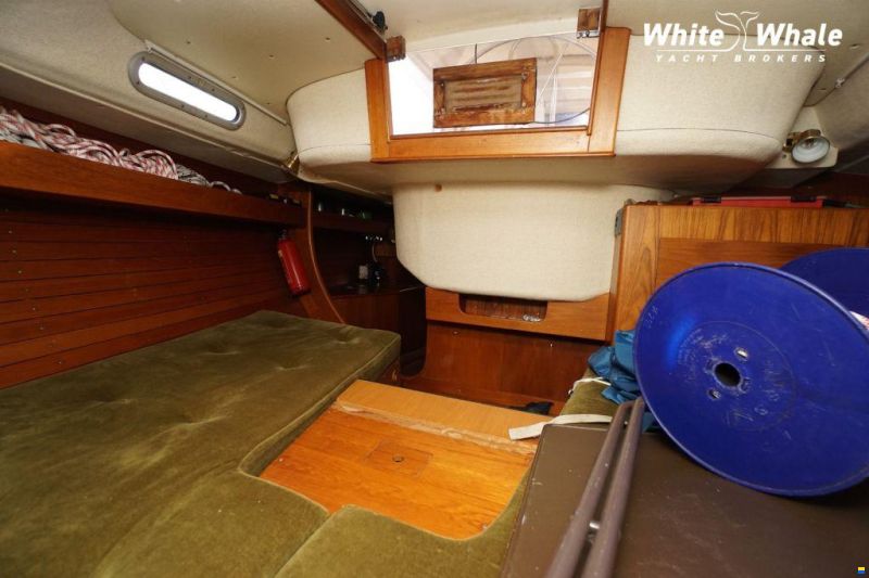 Sirena 38