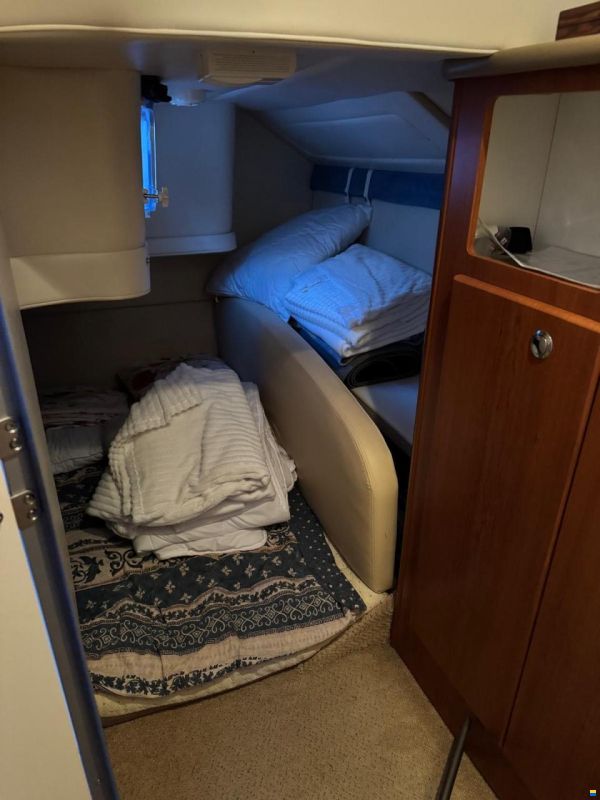 Bayliner 285SB Cierra