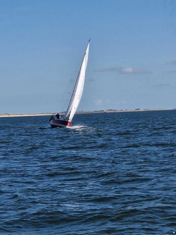 FF Boats FF 30 S