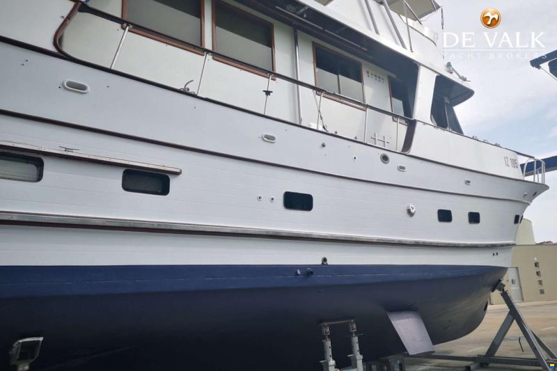Blue Ocean 50
