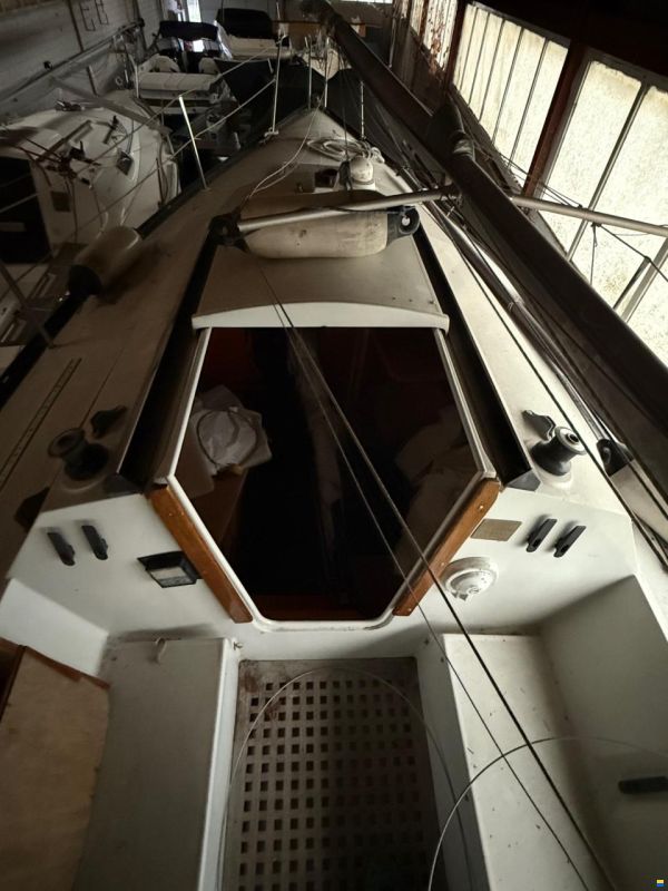 Comar Cornetino 801