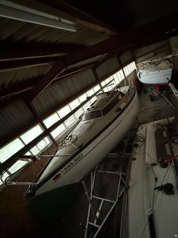 Comar Cornetino 801
