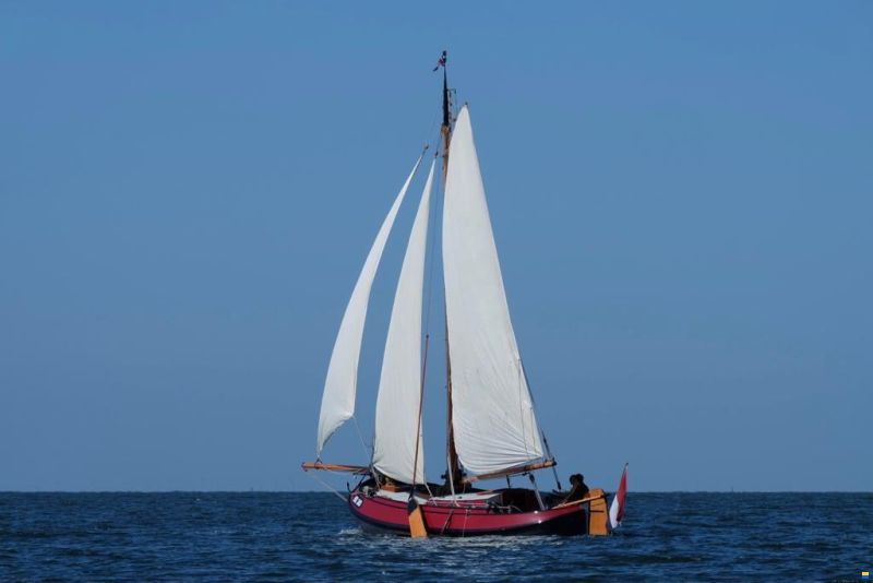 Lemsteraak Roefaak HI 30