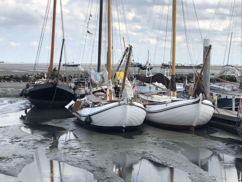 Lemsteraak Blom Roefmodel Anna