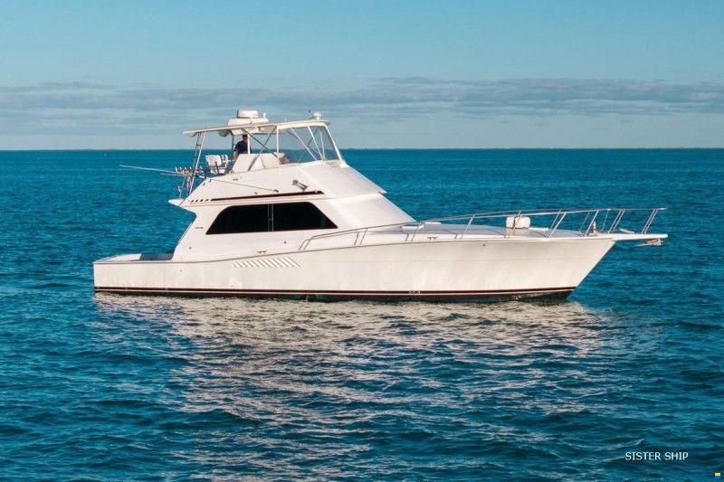 Viking Marin 50