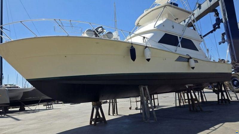 Viking Marin 50