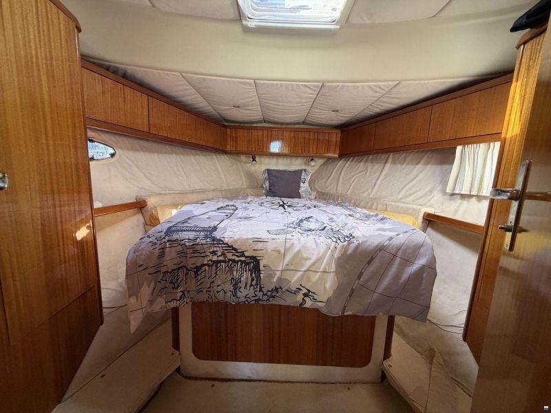 ACM Dynasty 43 Fly