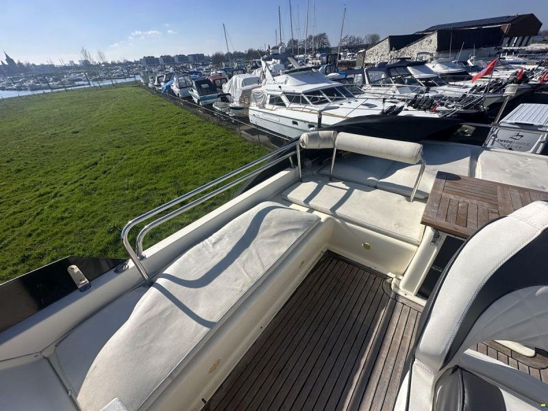 ACM Dynasty 43 Fly