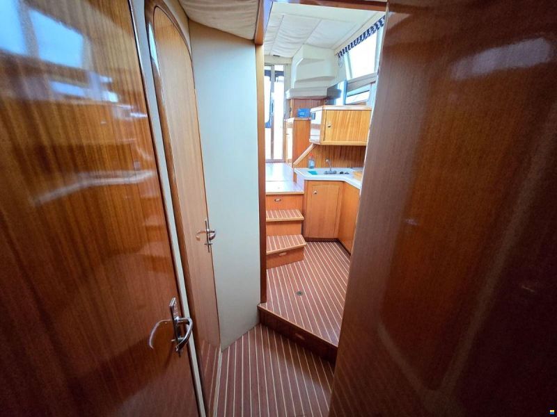 ACM Dynasty 43 Fly