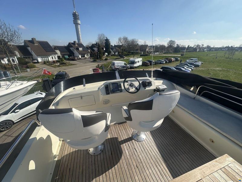 ACM Dynasty 43 Fly