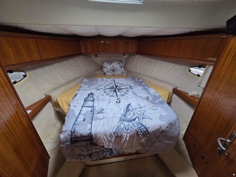 ACM Dynasty 43 Fly