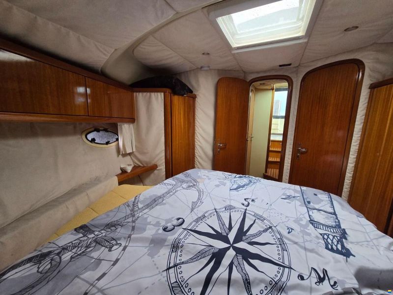 ACM Dynasty 43 Fly