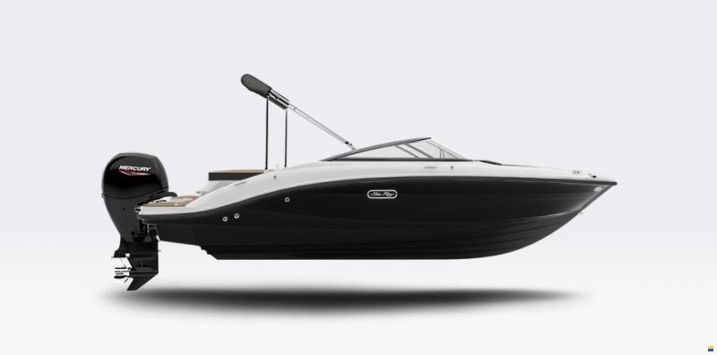 Sea Ray 190 SPOE