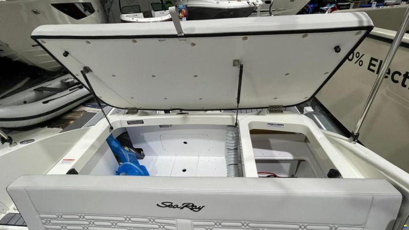 Sea Ray SPX-R 190 Outboard
