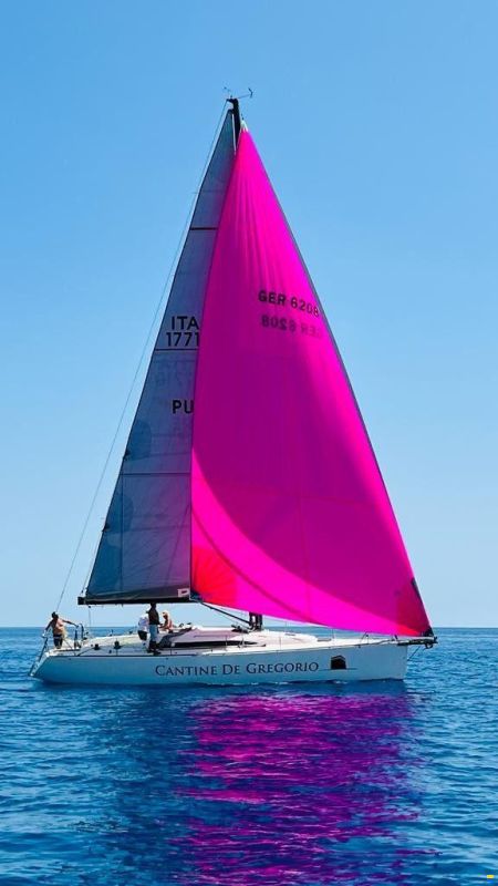 Salona 42