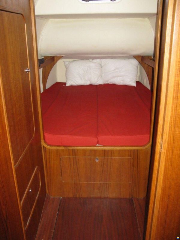Latini Cat 43