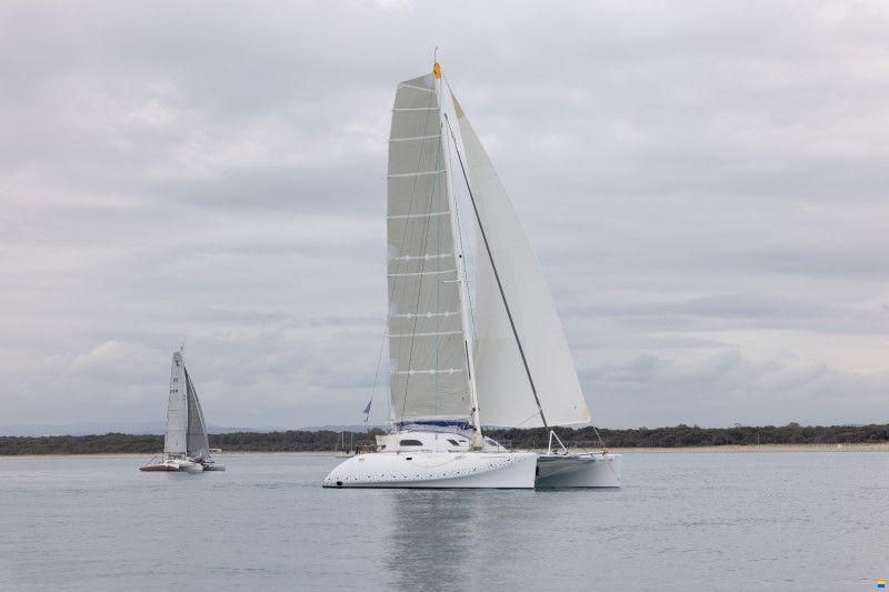 Latini Cat 43