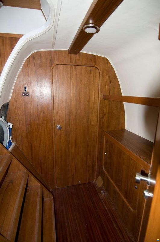 Latini Cat 43