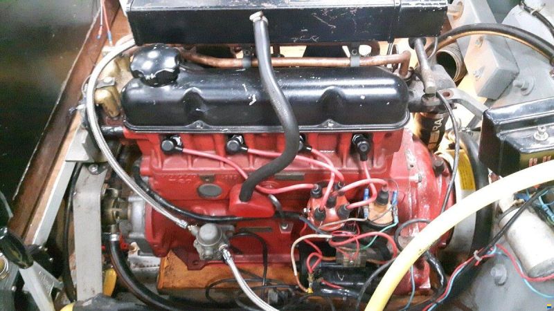 Pedrazzini Cavallino 570