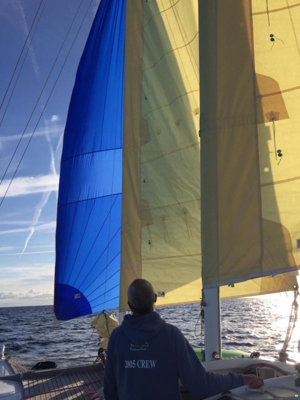 Wharram Tiki 38