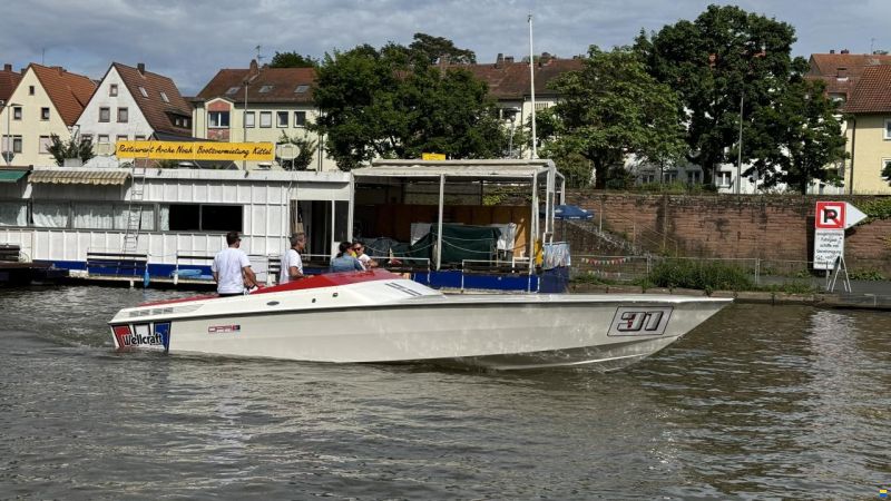 Wellcraft Scarab 31 Viper