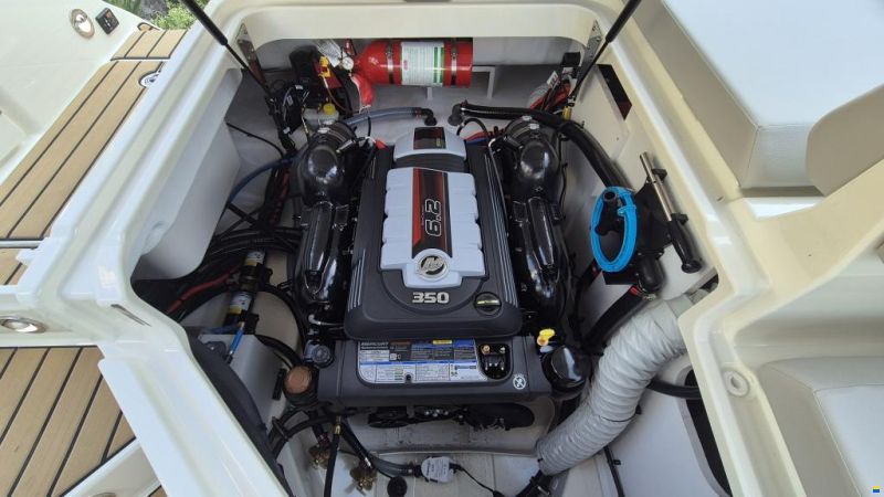 Sea Ray SDX 270 Surf