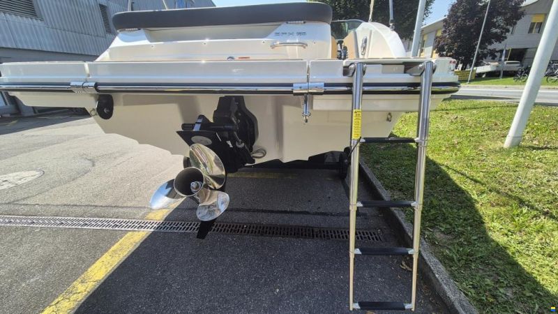 Sea Ray SPX 190 Europe