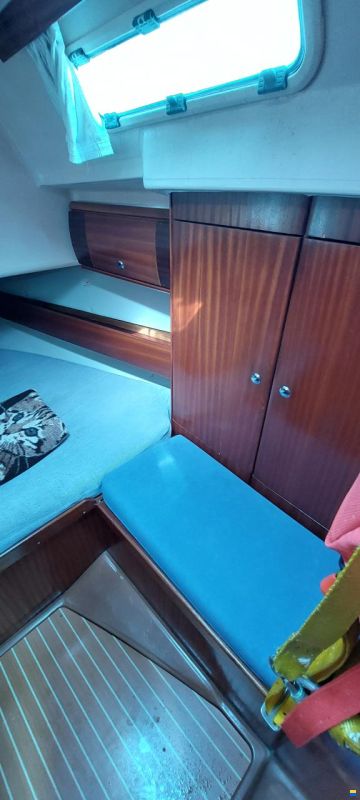 Bavaria 49
