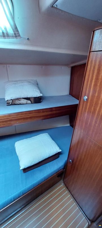 Bavaria 49