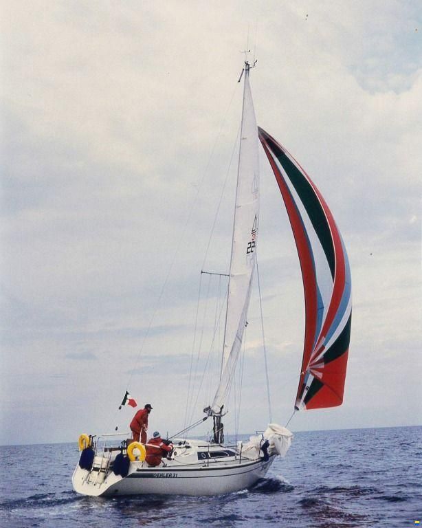Dehler 31