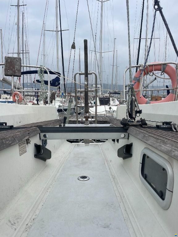 Dehler 31