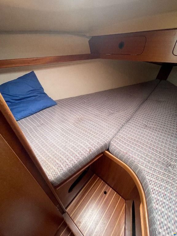 Dehler 31