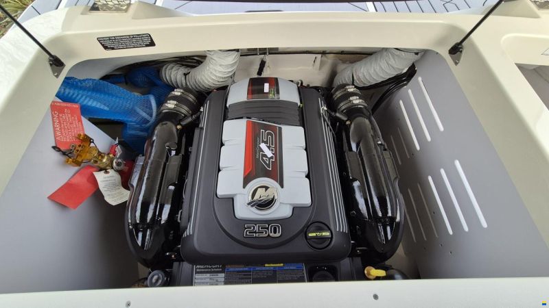 Sea Ray SPX 190 R Europe