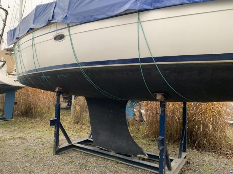 Bavaria 38 Cruiser