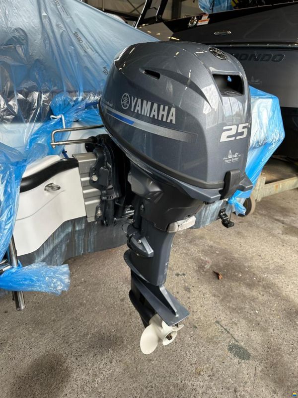 Yamaha F25GETL