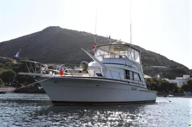 Bertram 54